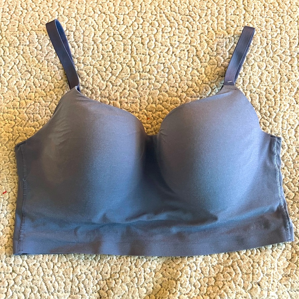 NWOT VS Pink Lightly Lined Padded Blue Bra
